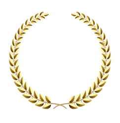 no1-ranking1.png
